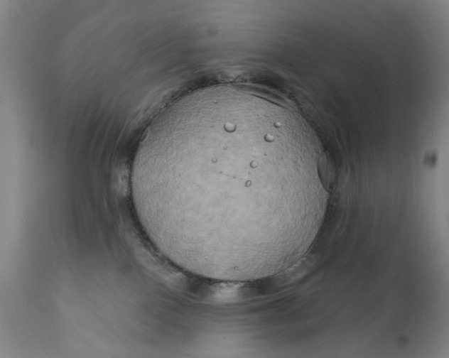 X0000111240090200907161352