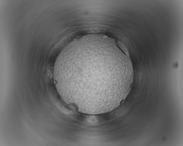 X0000111240091200907161352