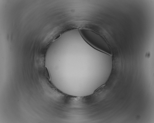 X0000111240092200907161352