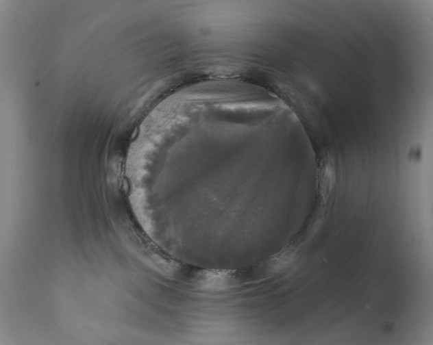 X0000111240093200907161352