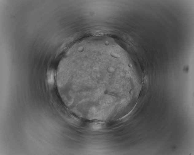 X0000111240094200907161352