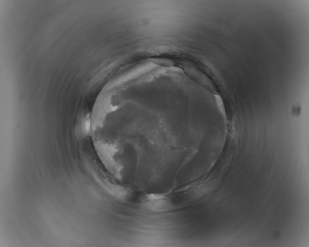 X0000111240095200907161352