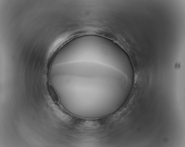 X0000111240101200907161351