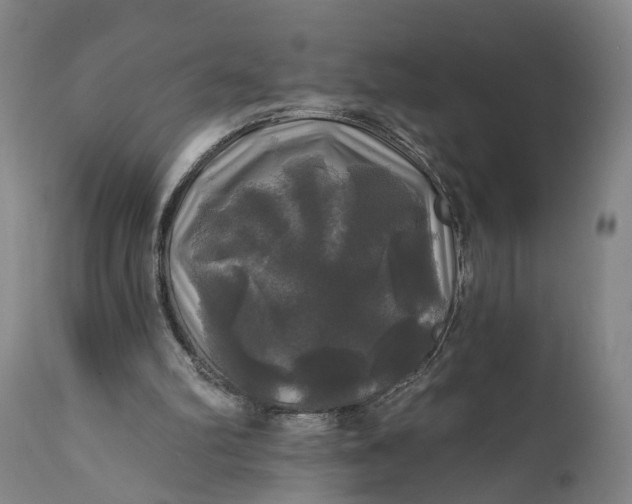 X0000111240102200907161351