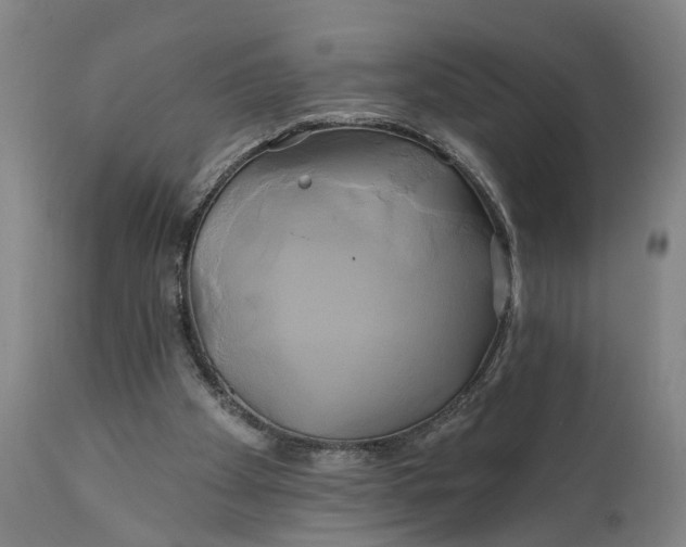 X0000111240105200907161351