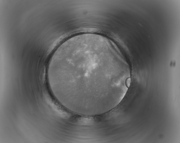 X0000111240110200907161351