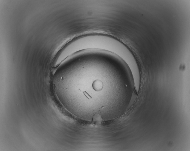 X0000111240112200907161351