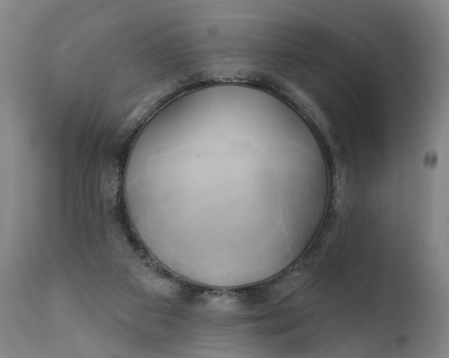 X0000111240113200907161351