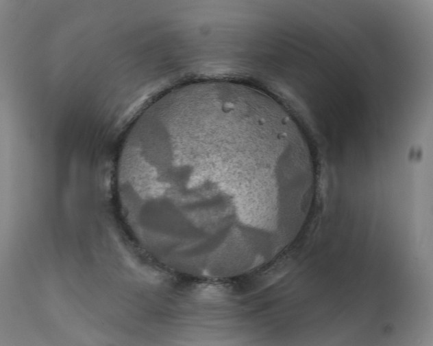 X0000111240115200907161351