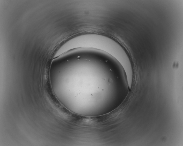 X0000111240117200907161351