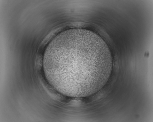 X0000111240119200907161351