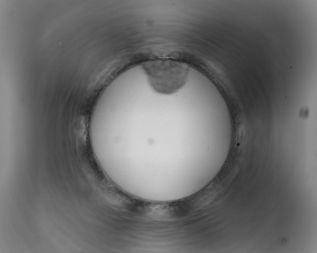 X0000111240121200907161351