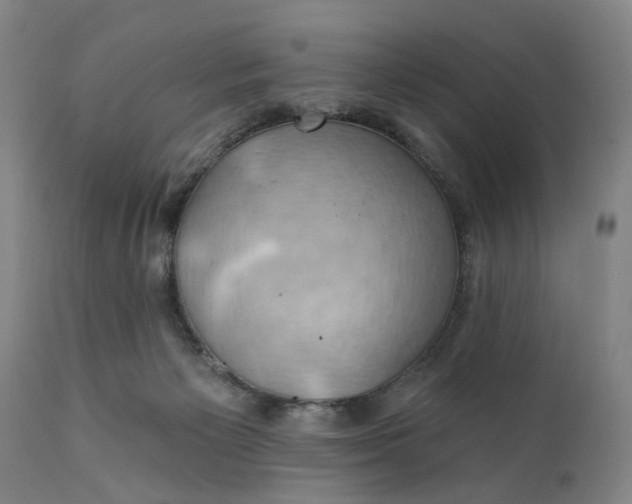 X0000111240125200907161351