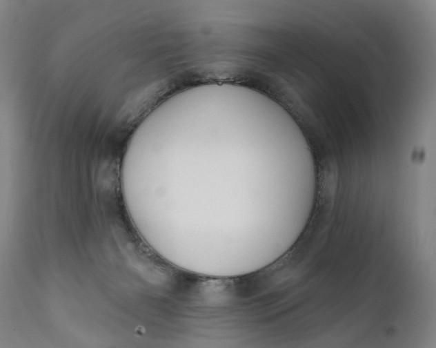 X0000111240126200907161351