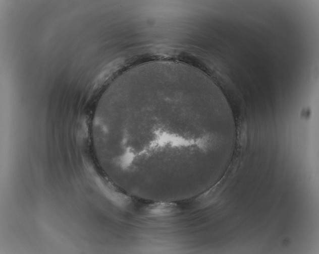 X0000111240128200907161351