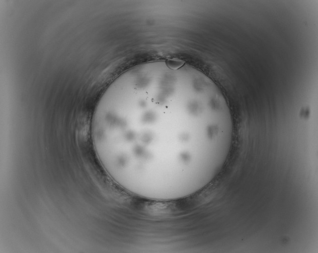 X0000111240129200907161351