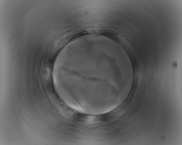 X0000111240130200907161351