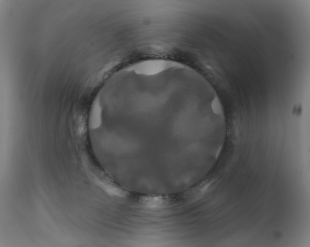 X0000111240131200907161351