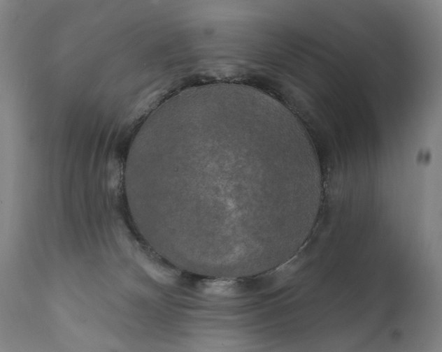 X0000111240132200907161351