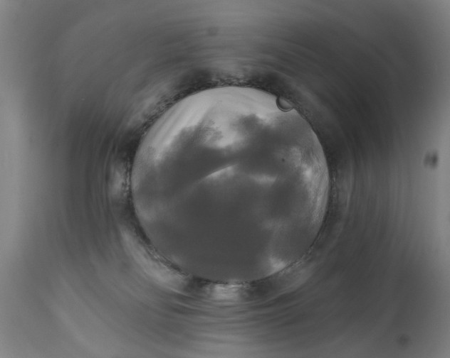 X0000111240134200907161351