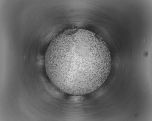 X0000111240135200907161351