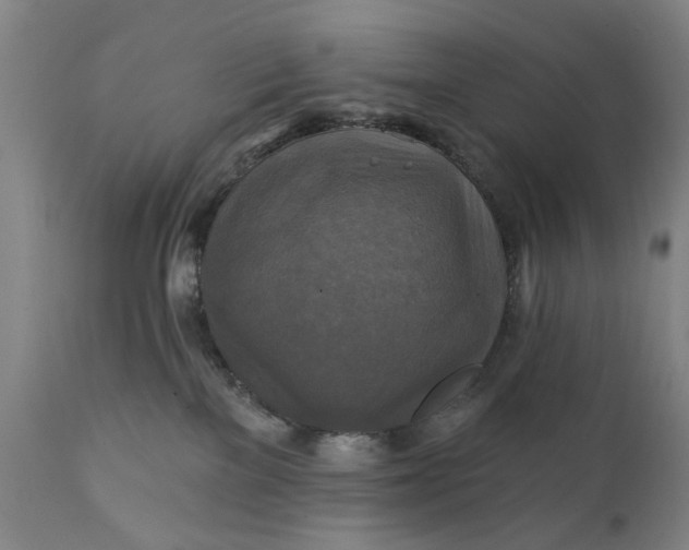 X0000111240137200907161351