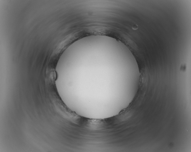 X0000111240141200907161351