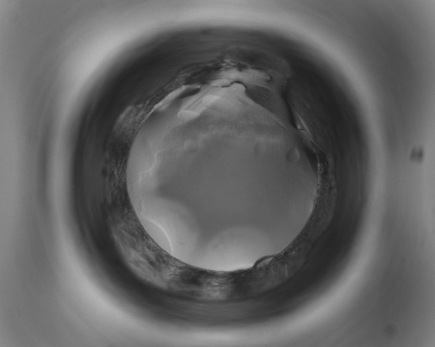 X0000111240143200907161351