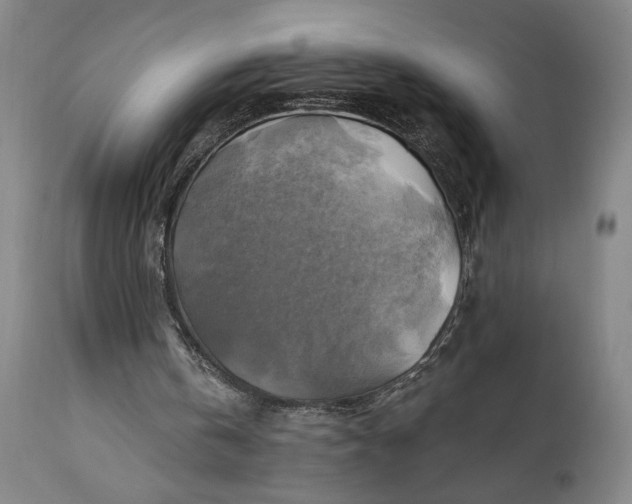 X0000111240146200907161350