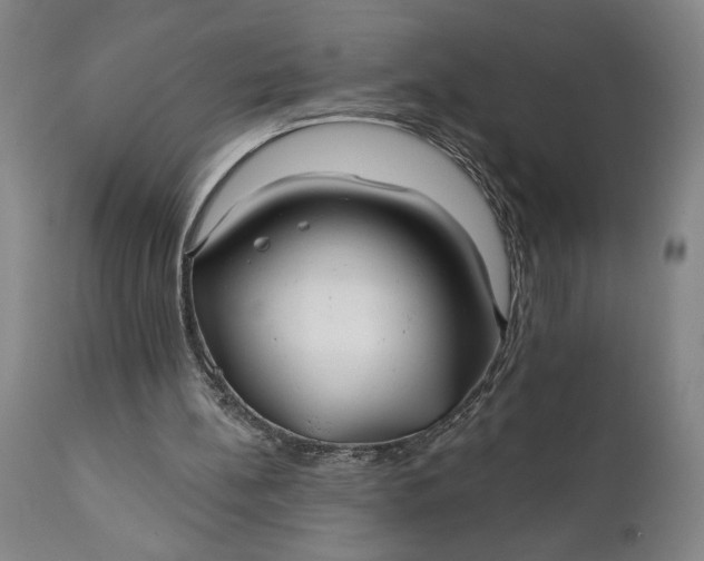 X0000111240148200907161350