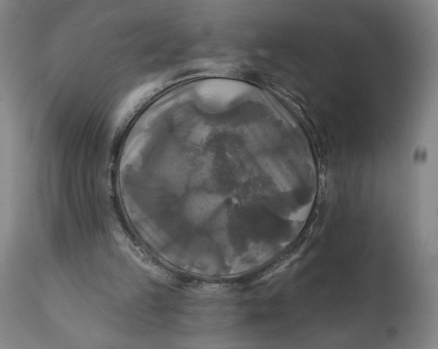 X0000111240149200907161350