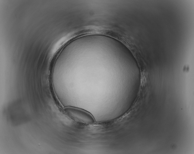 X0000111240150200907161350