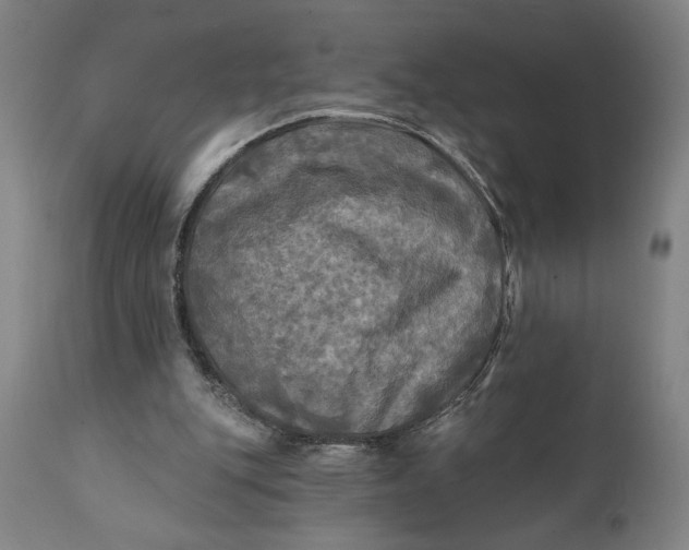 X0000111240151200907161350