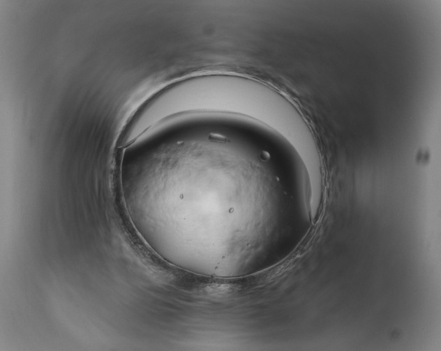 X0000111240152200907161350