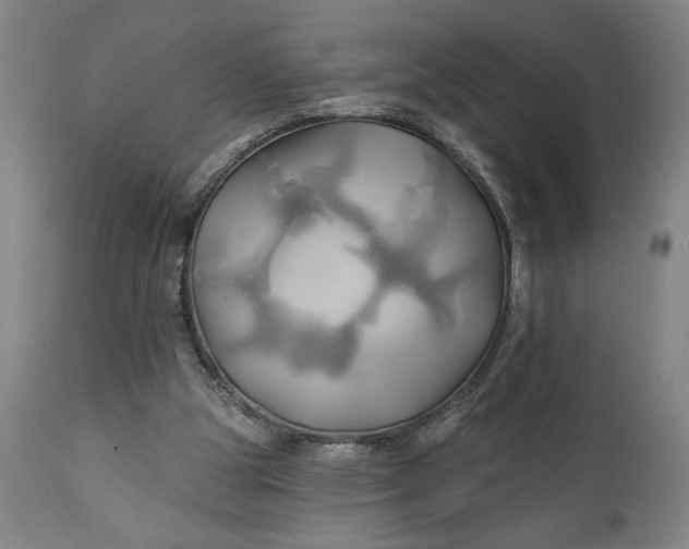 X0000111240153200907161350