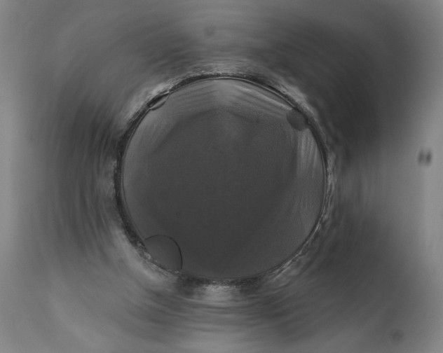 X0000111240154200907161350