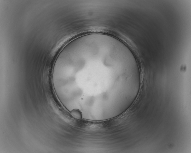 X0000111240155200907161350