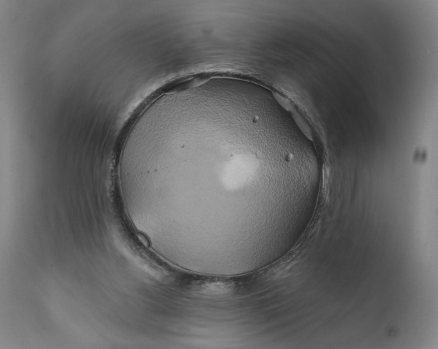 X0000111240156200907161350