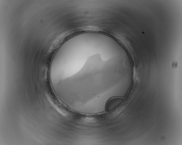 X0000111240157200907161350