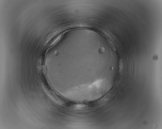 X0000111240158200907161350