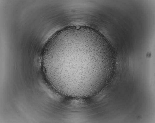 X0000111240160200907161350