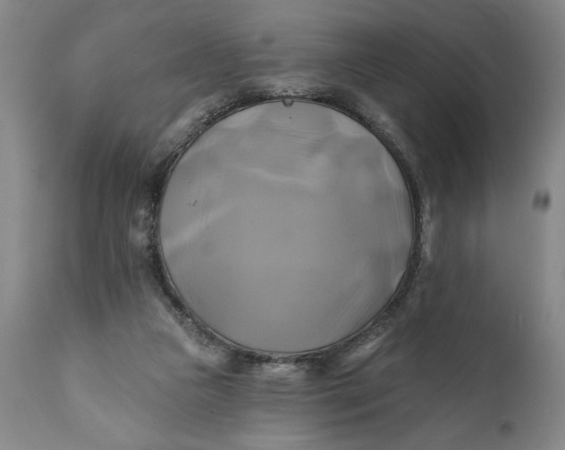 X0000111240161200907161350