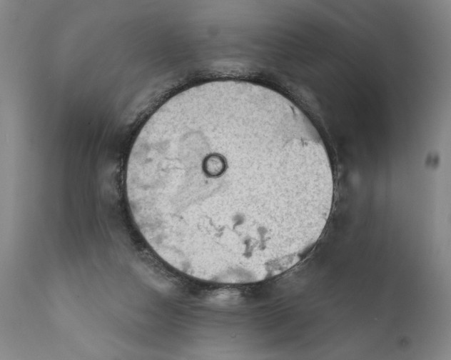 X0000111240162200907161350