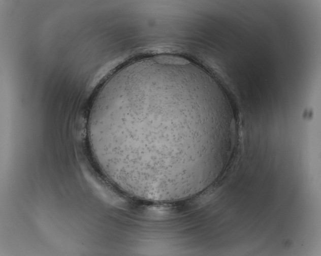 X0000111240164200907161350