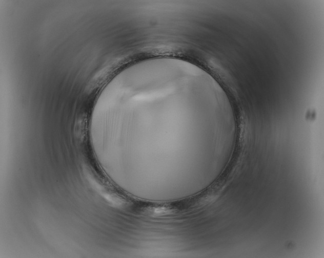 X0000111240165200907161350