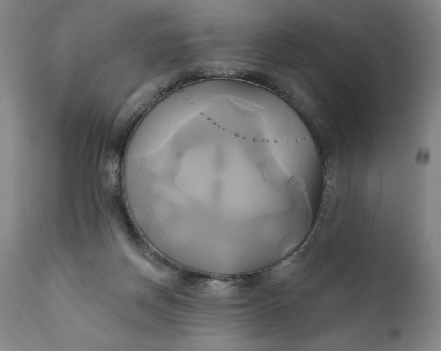 X0000111240166200907161350