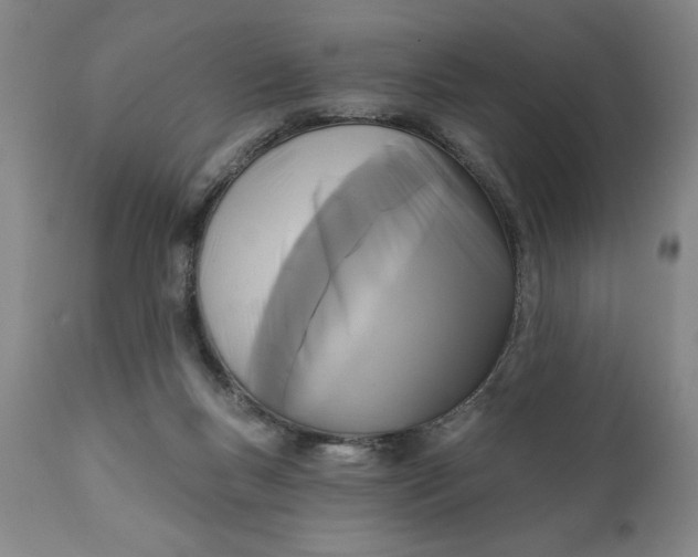 X0000111240167200907161350