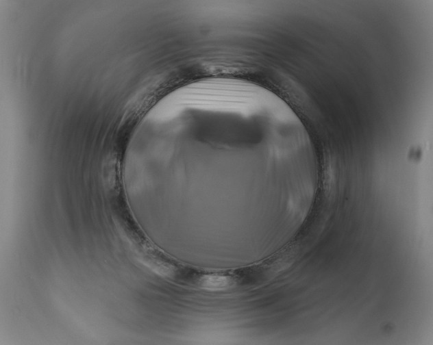 X0000111240169200907161350