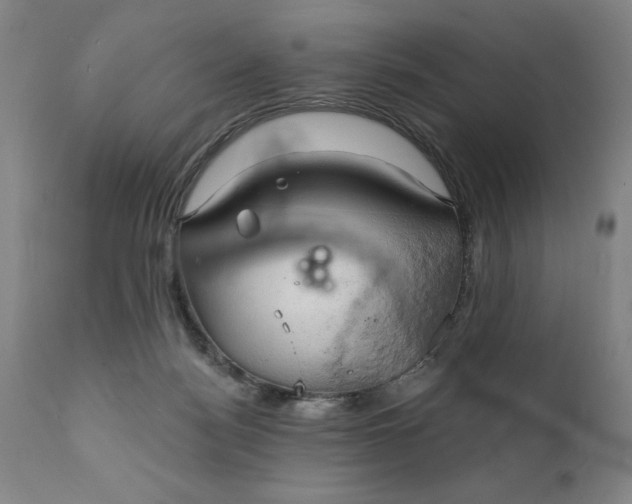 X0000111240172200907161350