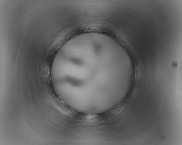 X0000111240173200907161350